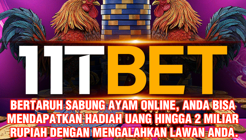 Ccn Slot